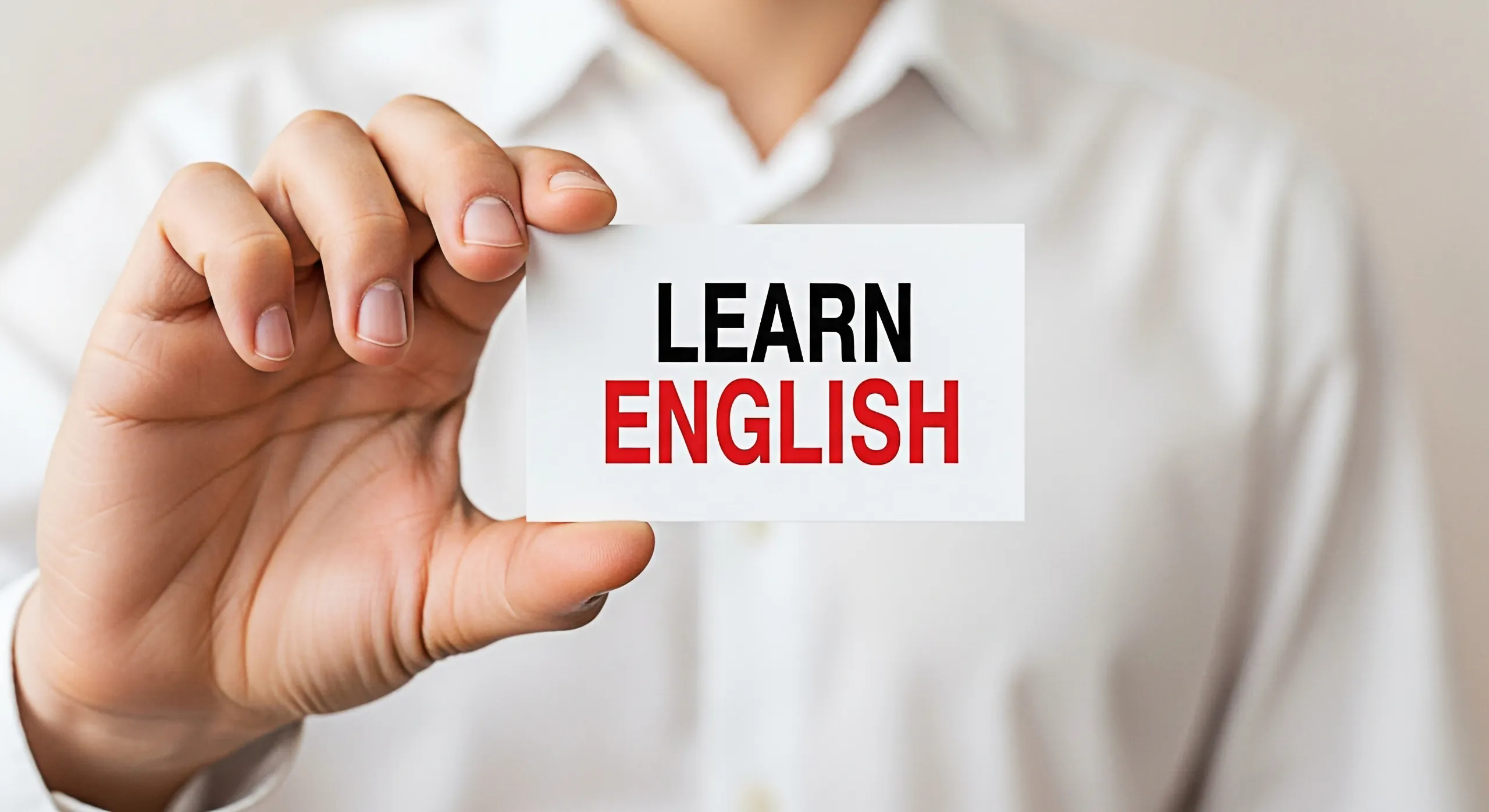 English Grammar Basics